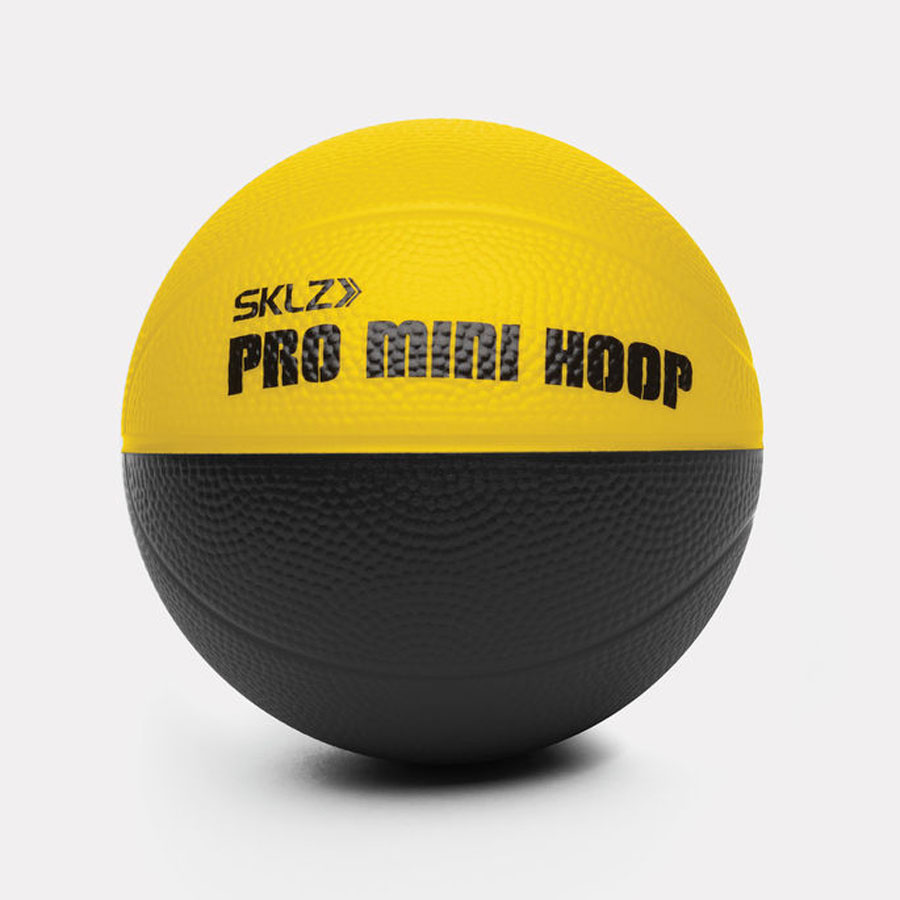 Pro Mini Hoop Micro minikori