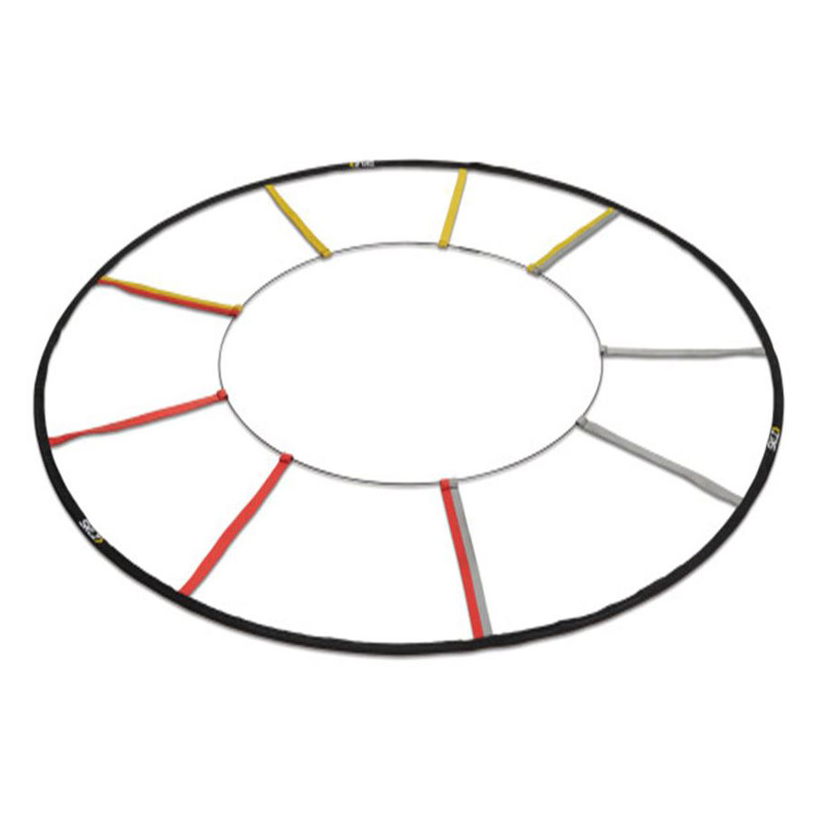 Reactive Agility Ladder