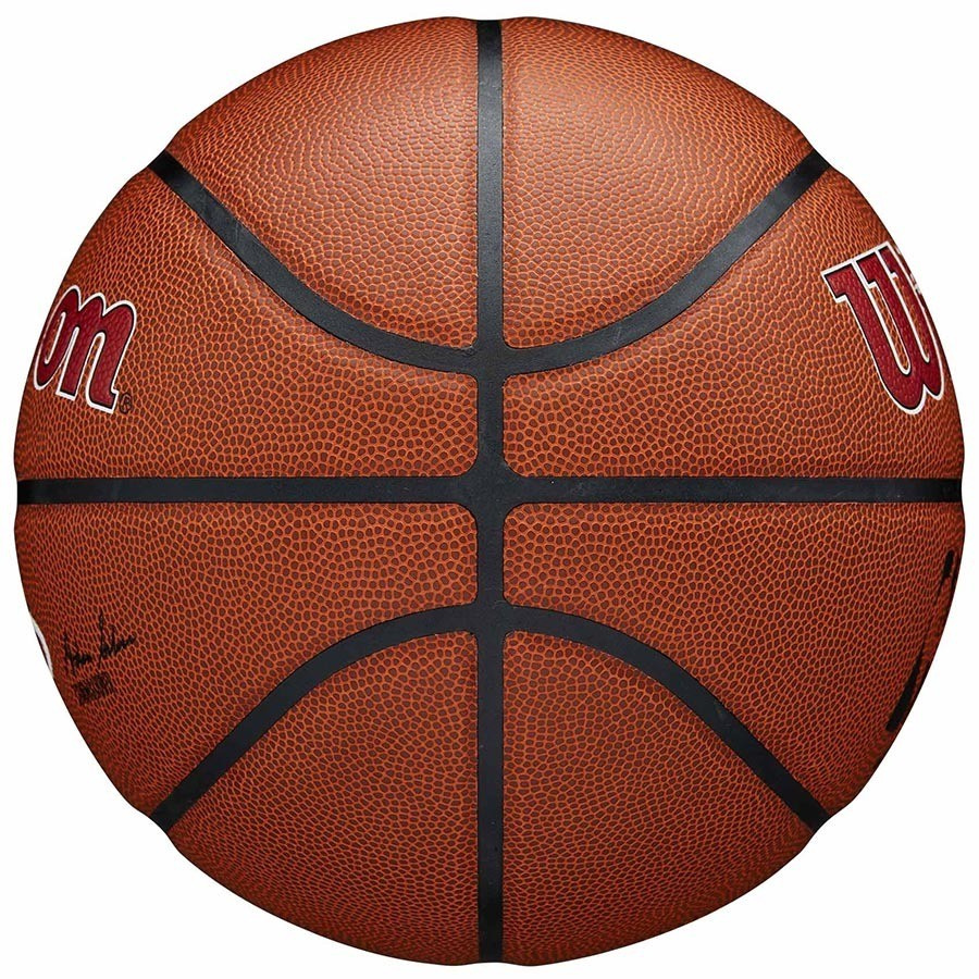 NBA Team Alliance Pistons Koripallo (7)