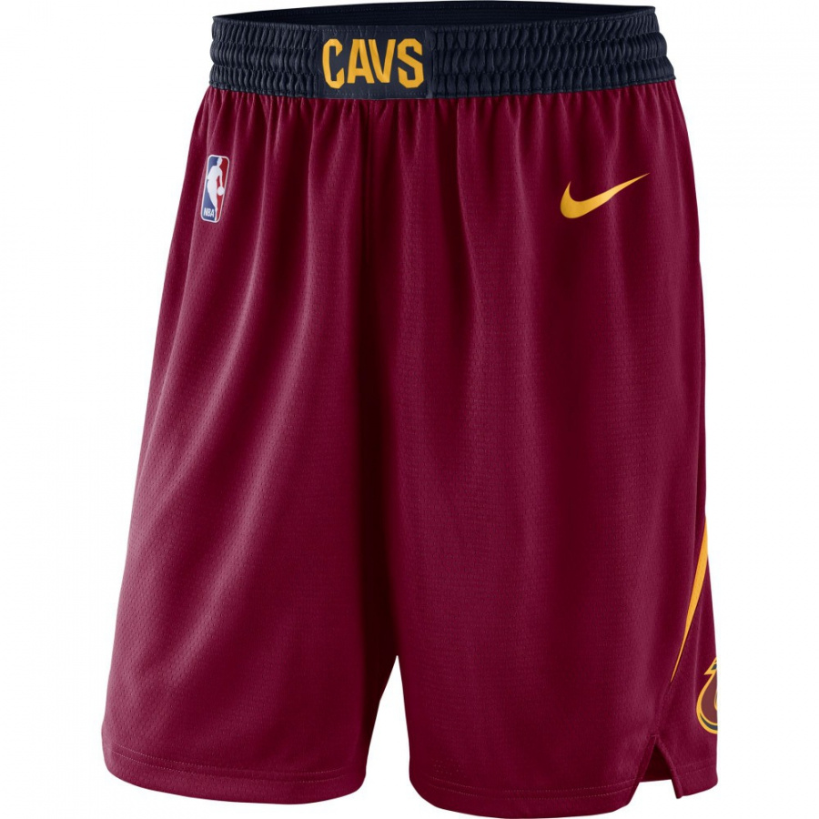 Cavaliers Icon Swingman shortsit