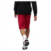 Jordan Dri-Fit Mesh koripalloshortsit Lasten Jordan Dri-Fit Mesh koripalloshortsit Lasten