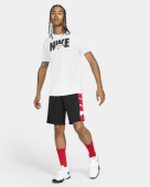 Nike Dri-Fit Basketball Shortsit