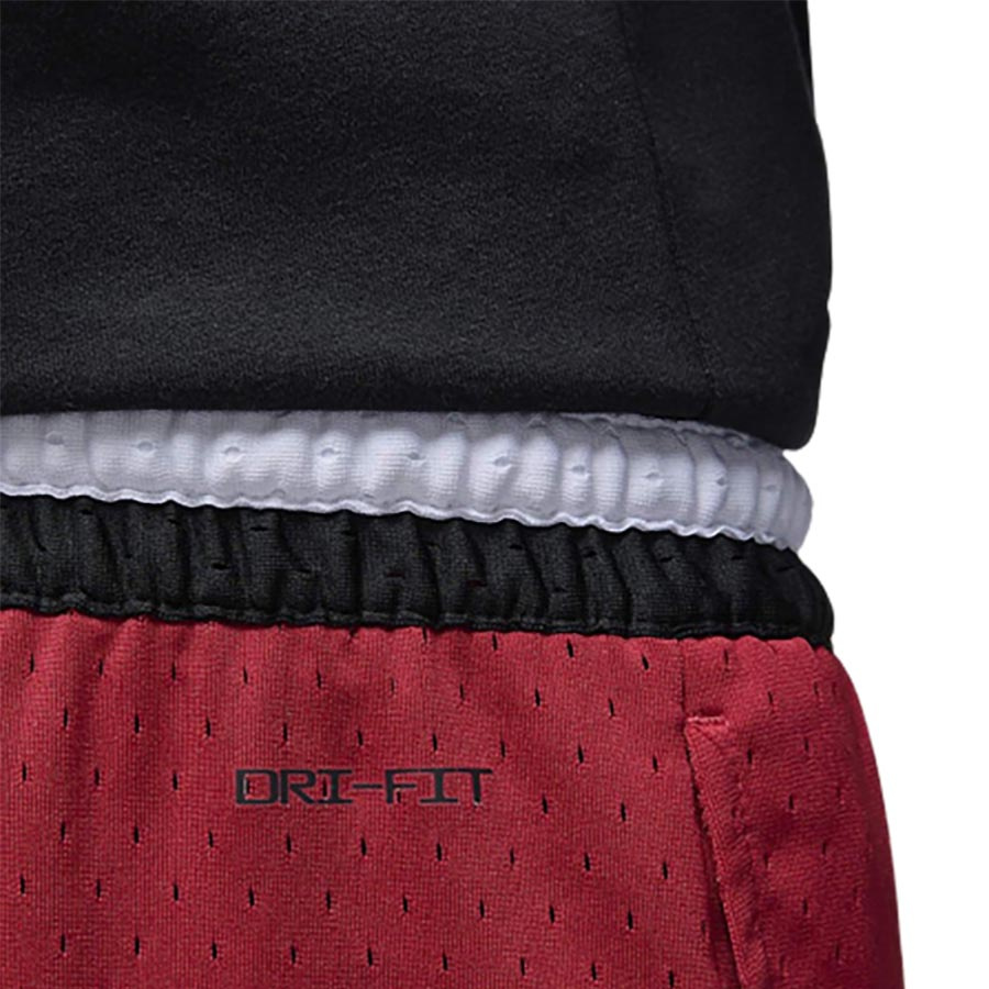 Jordan Dri-Fit Sport Shortsit