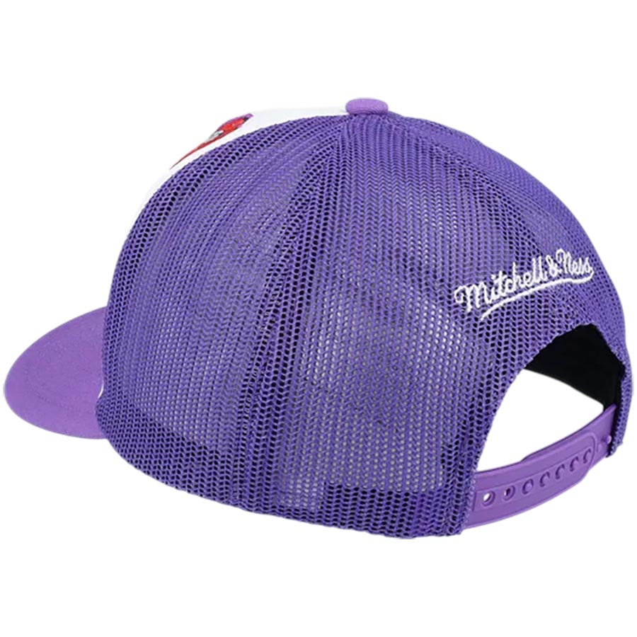 Raptors Trucker Snapback Lippis