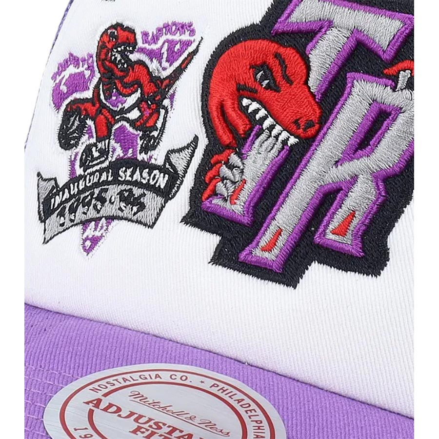 Raptors Trucker Snapback Lippis