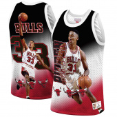 Bulls-Pippen  Bulls-Pippen