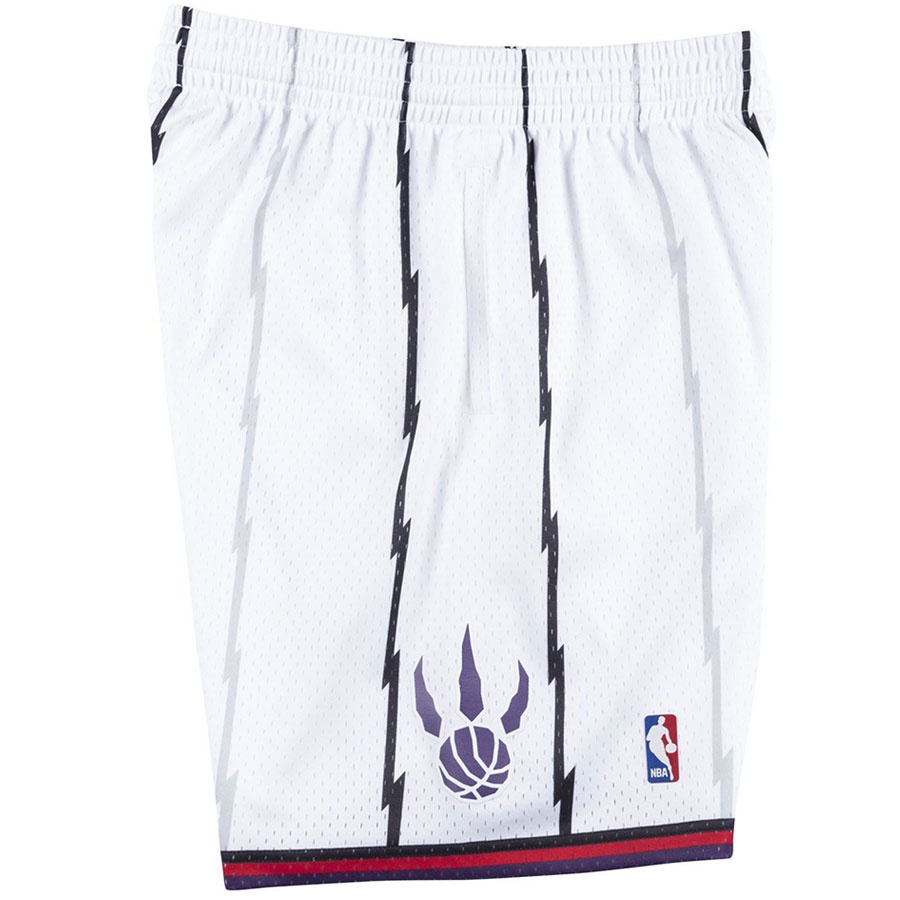 Raptors Swingman Shortsit