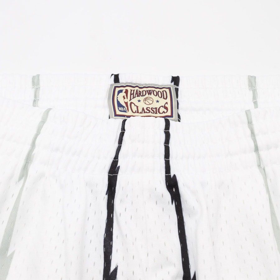 Raptors Swingman Shortsit