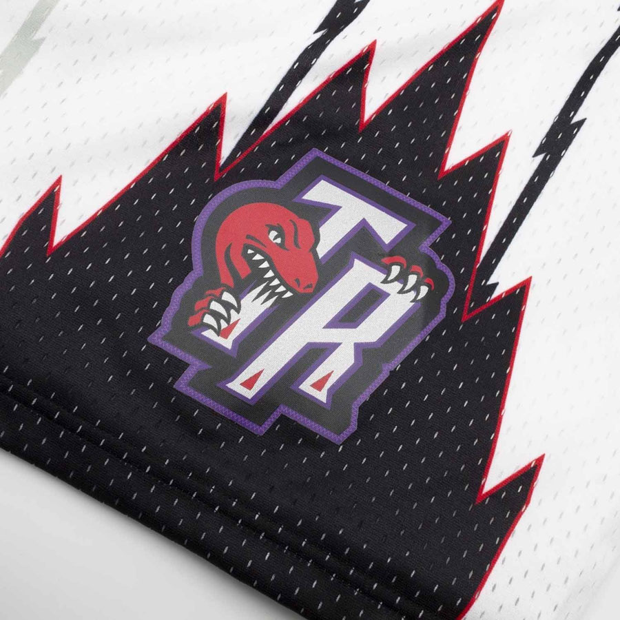 Raptors Swingman Shortsit