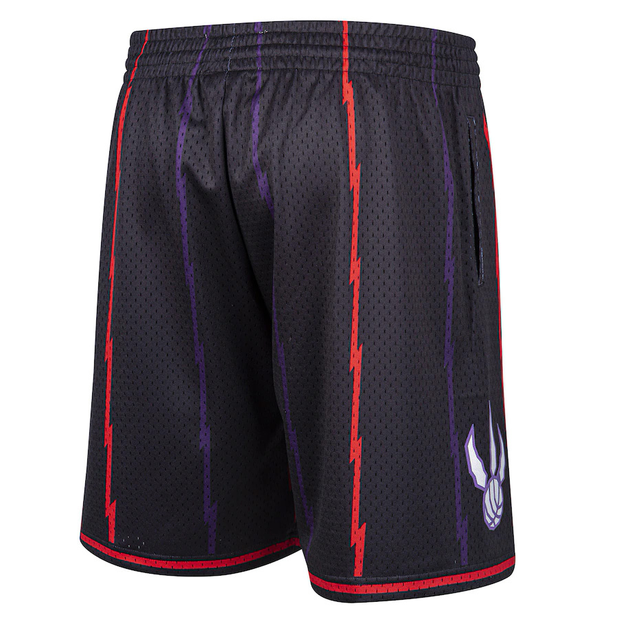 Raptors Swingman Shortsit