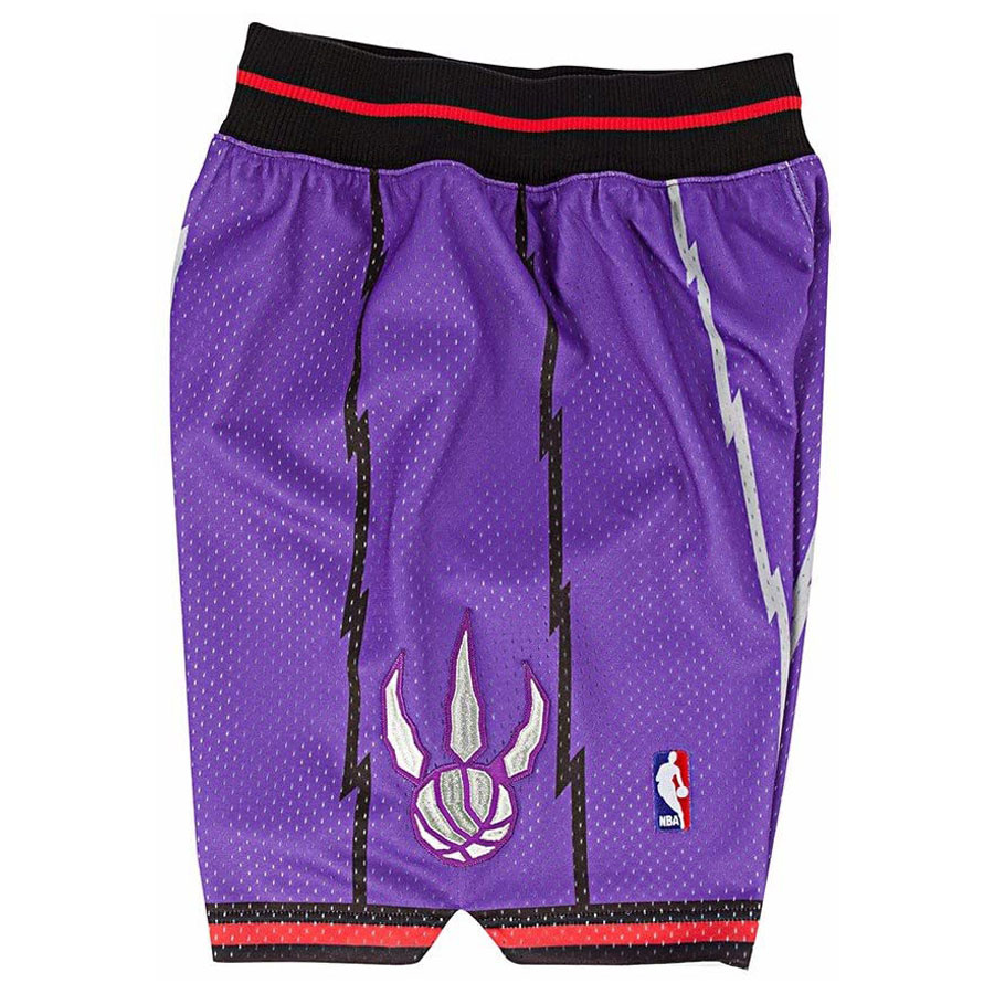 Raptors Swingman Shortsit