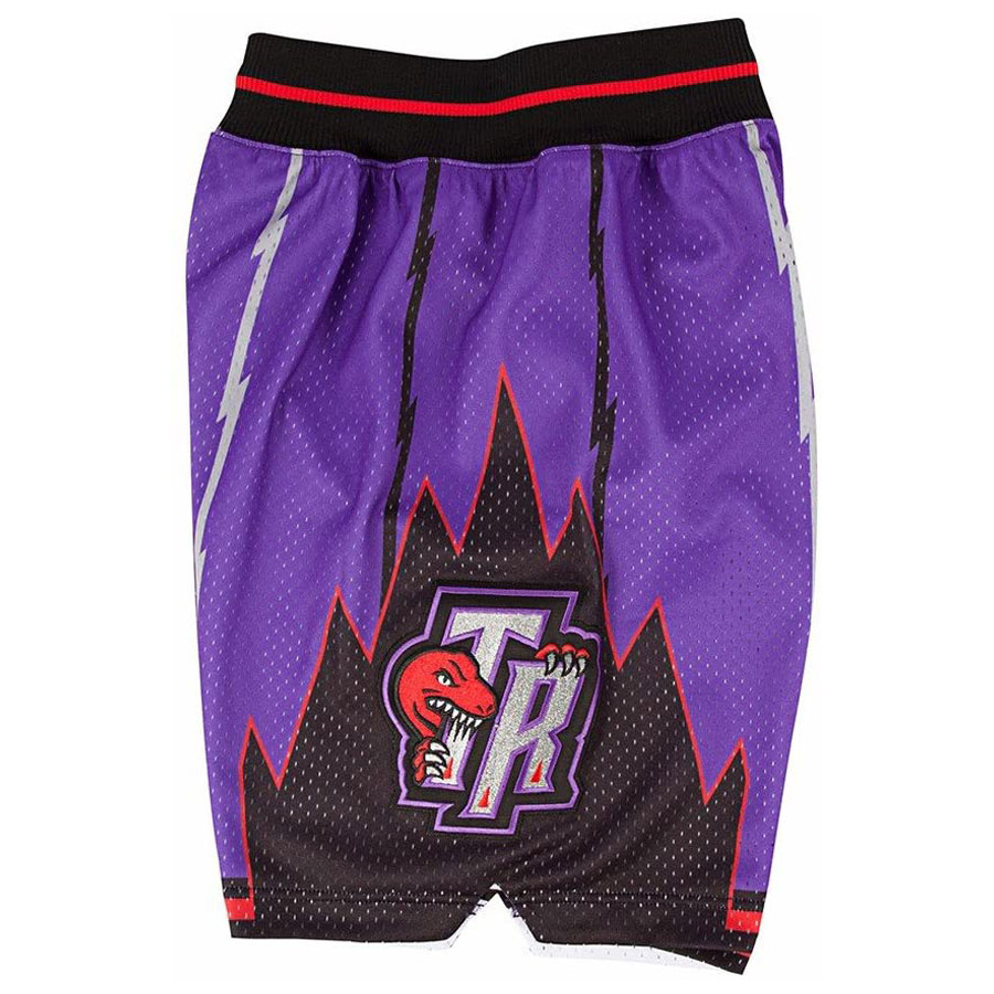 Raptors Swingman Shortsit