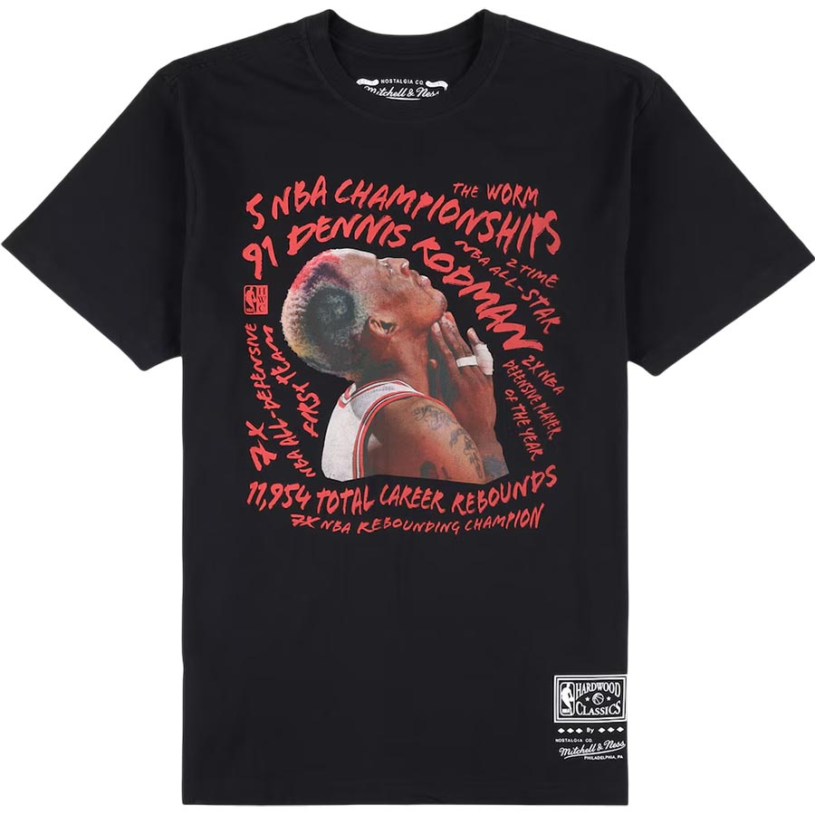Bulls Rodman Abstract T-paita